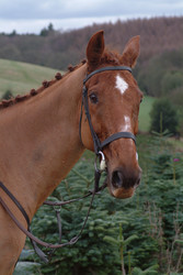 Similar image 7977535