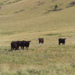 Similar image 7977539