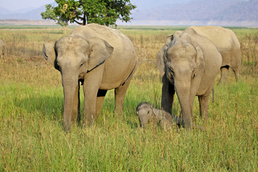 Similar image 7977544