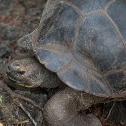 Similar image 7977551