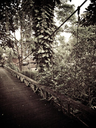 Similar image 7977566