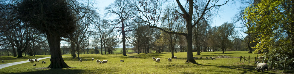 Similar image 7977570