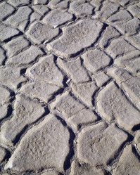 Similar image 7977578