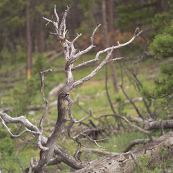 Similar image 7977584