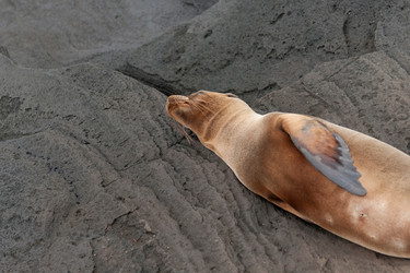 Similar image 7977600