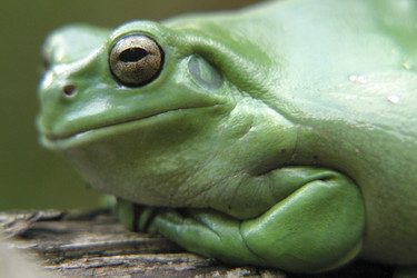 Similar image 7977601