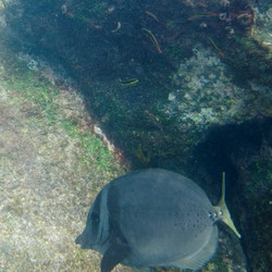 Similar image 7977602