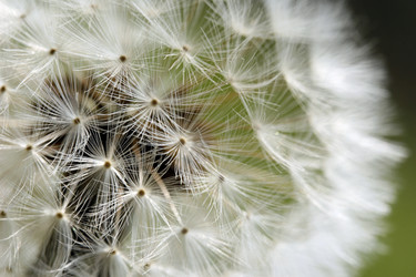 Similar image 7977604