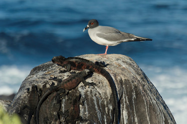 Similar image 7977606