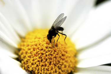 Similar image 7977608