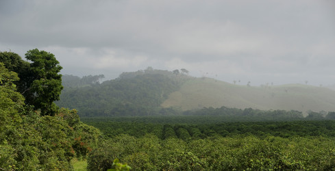 Similar image 7977610