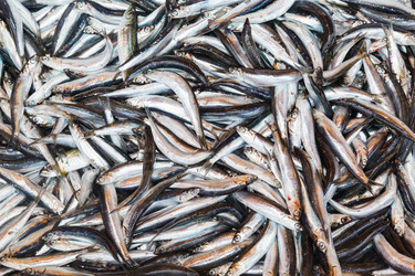 Similar image 7977634