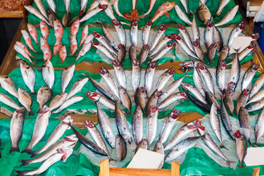 Similar image 7977635