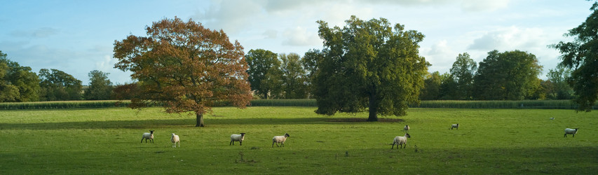 Similar image 7977657