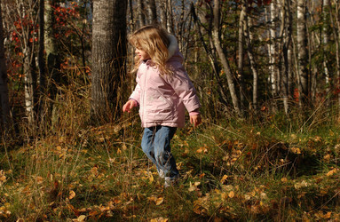 Similar image 7977667