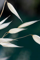 Similar image 7977671