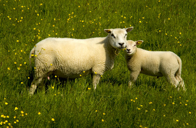 Similar image 7977716