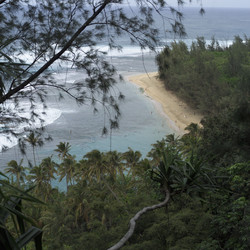 Similar image 7977719