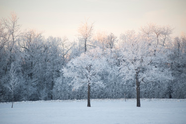 Similar image 7977720