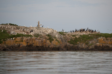 Similar image 7977721