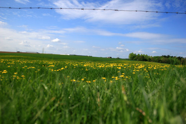 Similar image 7977728