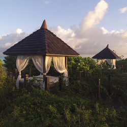 Similar image 7977730