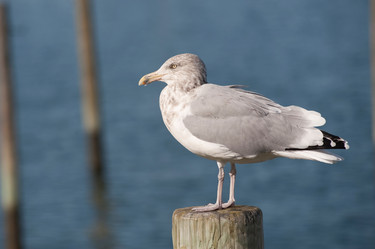 Similar image 7977733