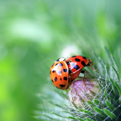 Similar image 7977737