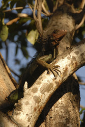 Similar image 7977741