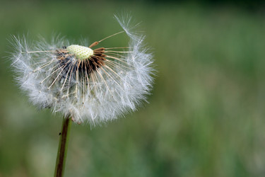 Similar image 7977750