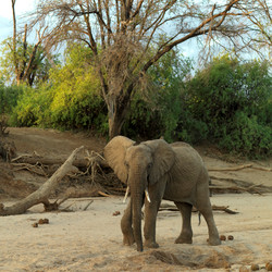 Similar image 7977753