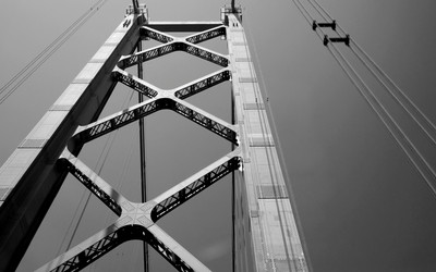 Similar image 7977755