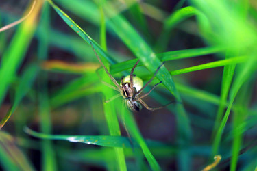 Similar image 7977756