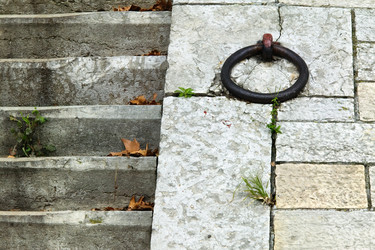 Similar image 7977765