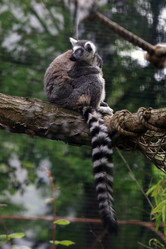 Similar image 7977773