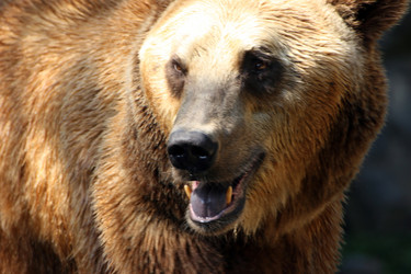 Similar image 7977775