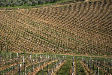 Similar image 7977776