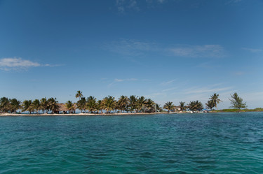 Similar image 7977779