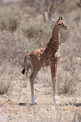 Similar image 7977797