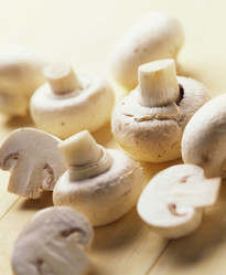 Similar image 7977806