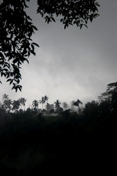 Similar image 7977810