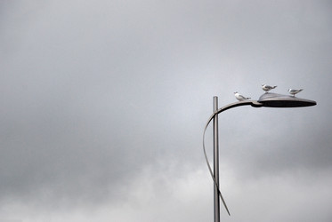 Similar image 7977815