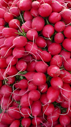 Similar image 7977825