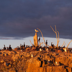 Similar image 7977828