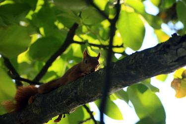 Similar image 7977830