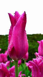 Similar image 7977840