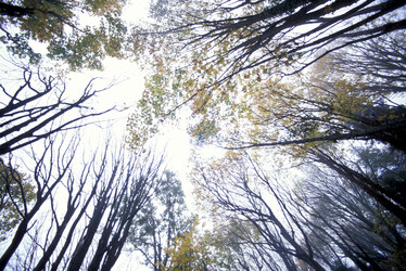 Similar image 7977842