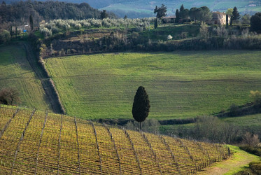 Similar image 7977844