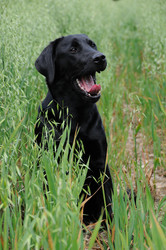 Similar image 7977845