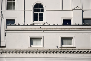 Similar image 7977848